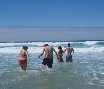 Los primeros osados que desfían las olas y la temperatura del agua